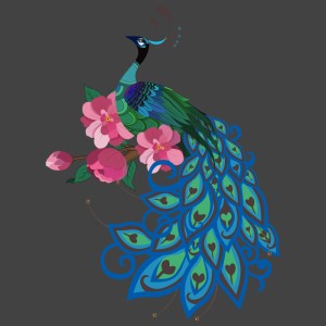 طرح لایه باز طاووس ها زیبا ترین پرنده دنیا