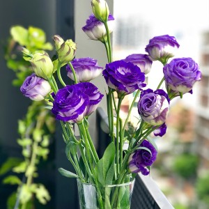 عکس گل های رز زیبا در گلدان شیشه ای شفاف