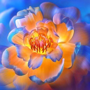 عکس 8k گل زیبای آبی زنگ با کیفیت بالا